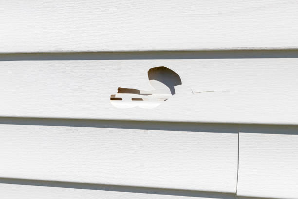 Best Storm Damage Siding Repair  in Forest Oaks, NC
