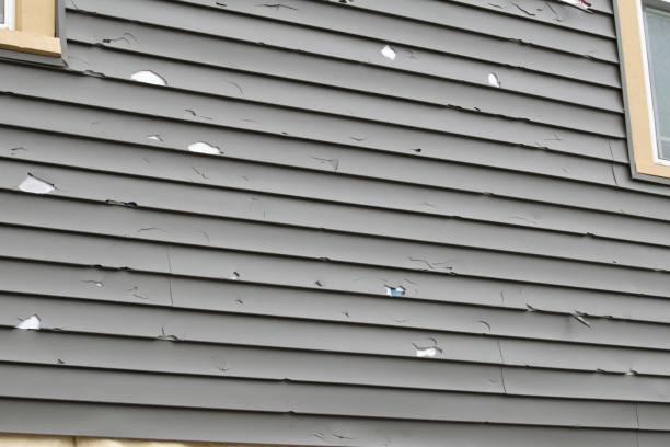 Best Siding for New Construction  in Forest Oaks, NC