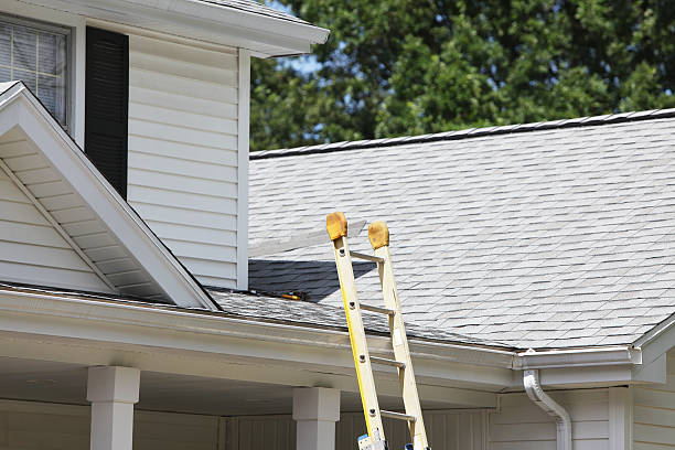 Trusted Forest Oaks, NC Siding Installation & Repair Experts